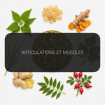 Recette Articro Pro BIO