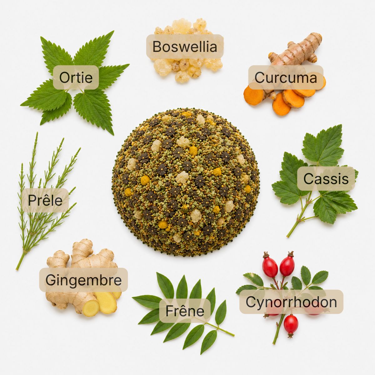 Recette Articro Pro BIO