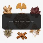 Recette Circulation Active BIO