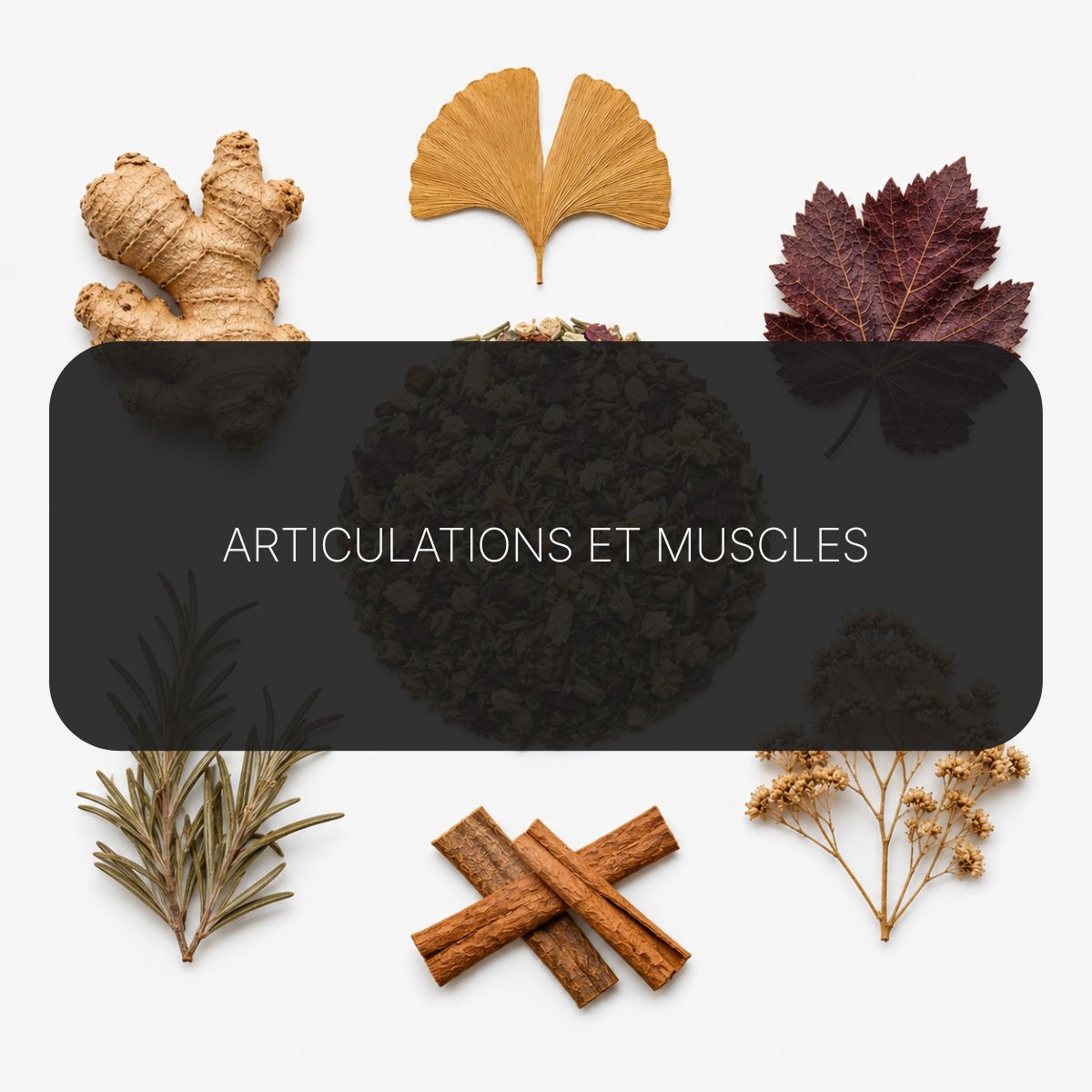 Recette Circulation Active BIO
