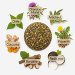 Recette Detox Équin BIO