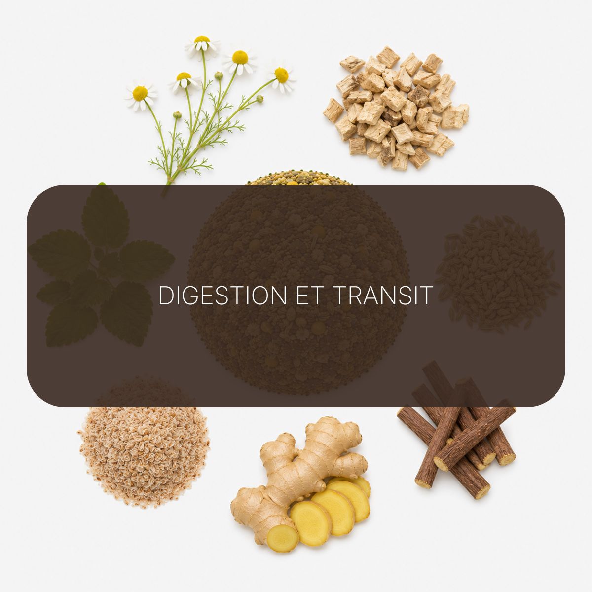 Recette DigiBoost BIO