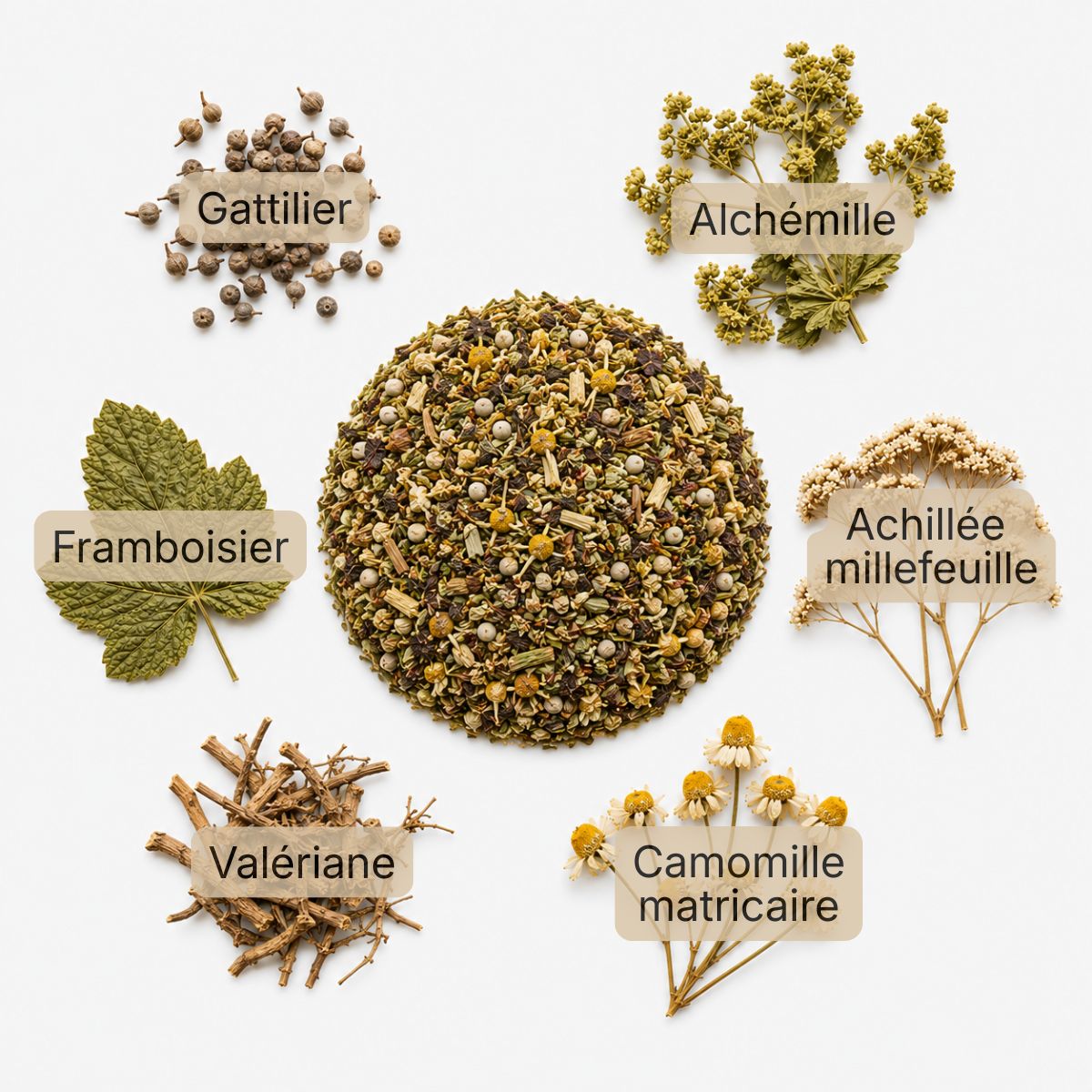 Recette Douceur de Jument BIO