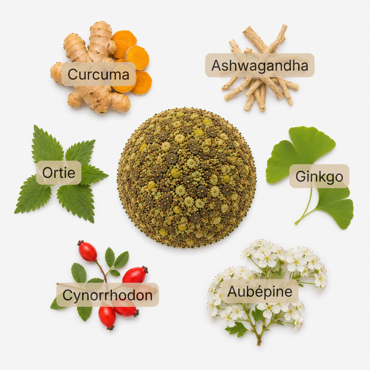 Recette Endurance BIO