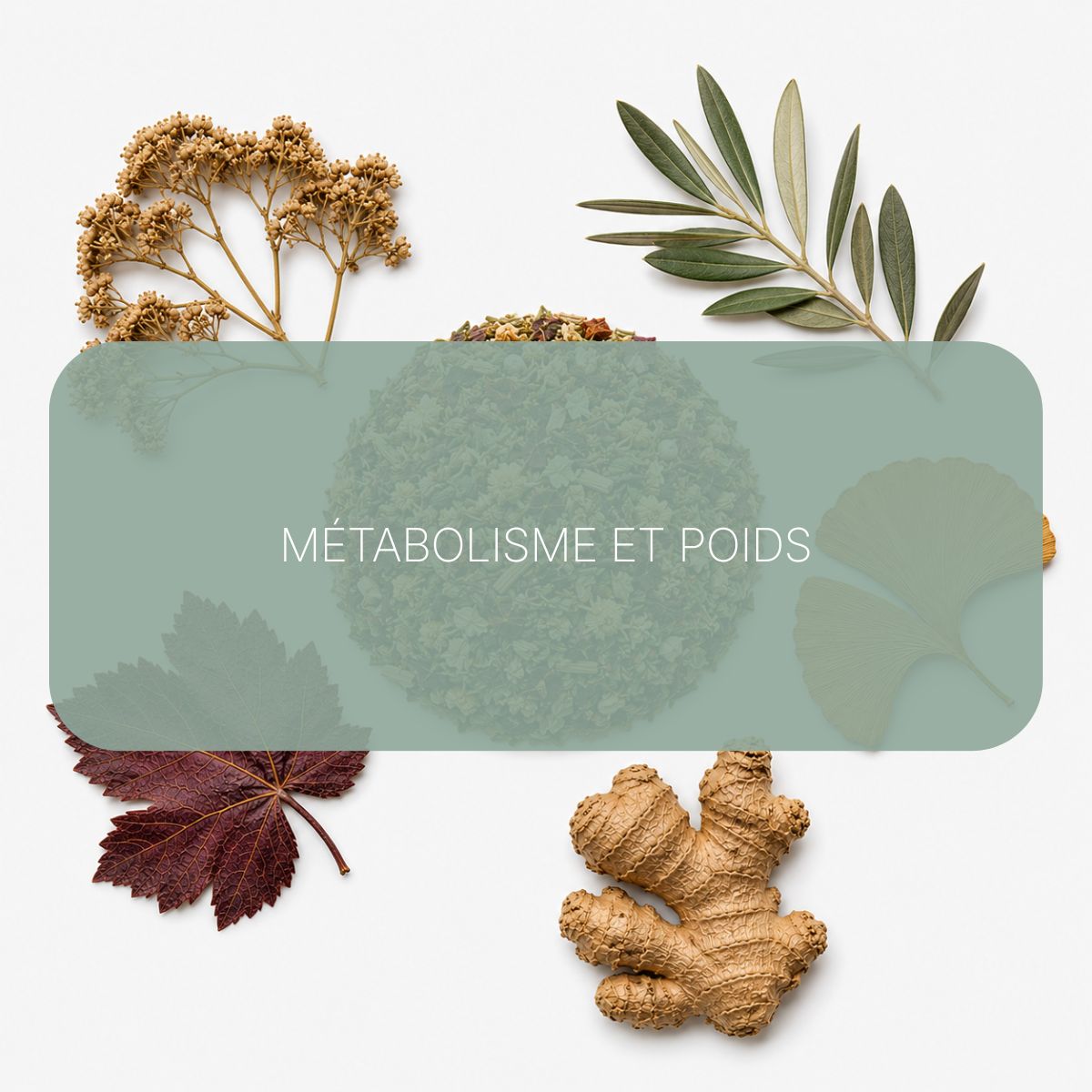 Recette Énergie Rubis BIO