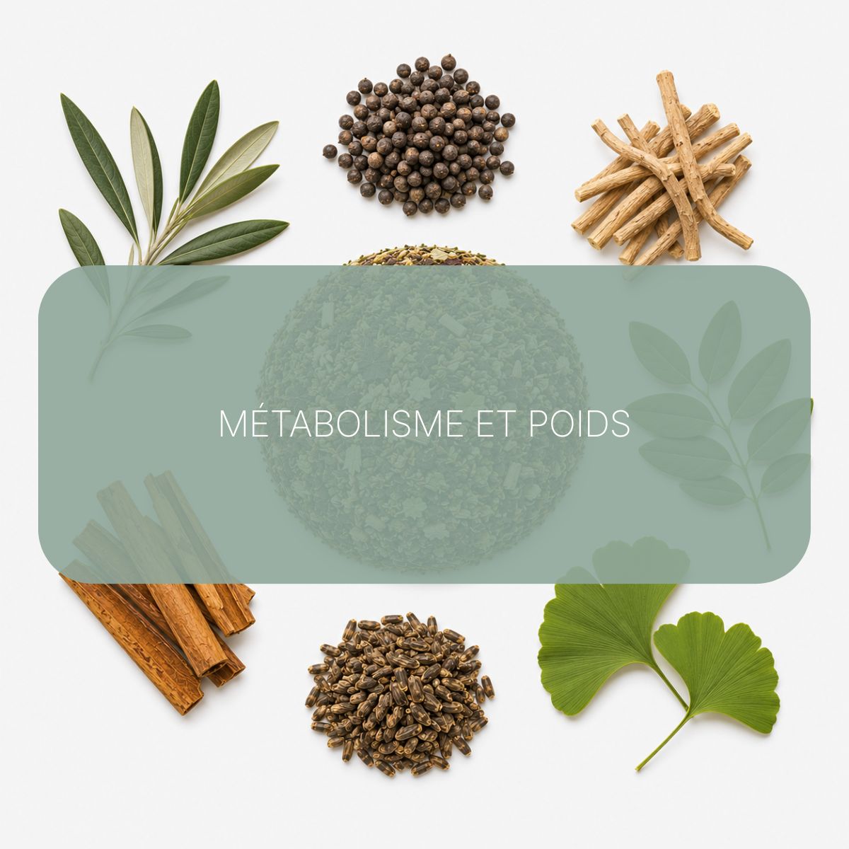 Recette Équilibre Hormonal BIO