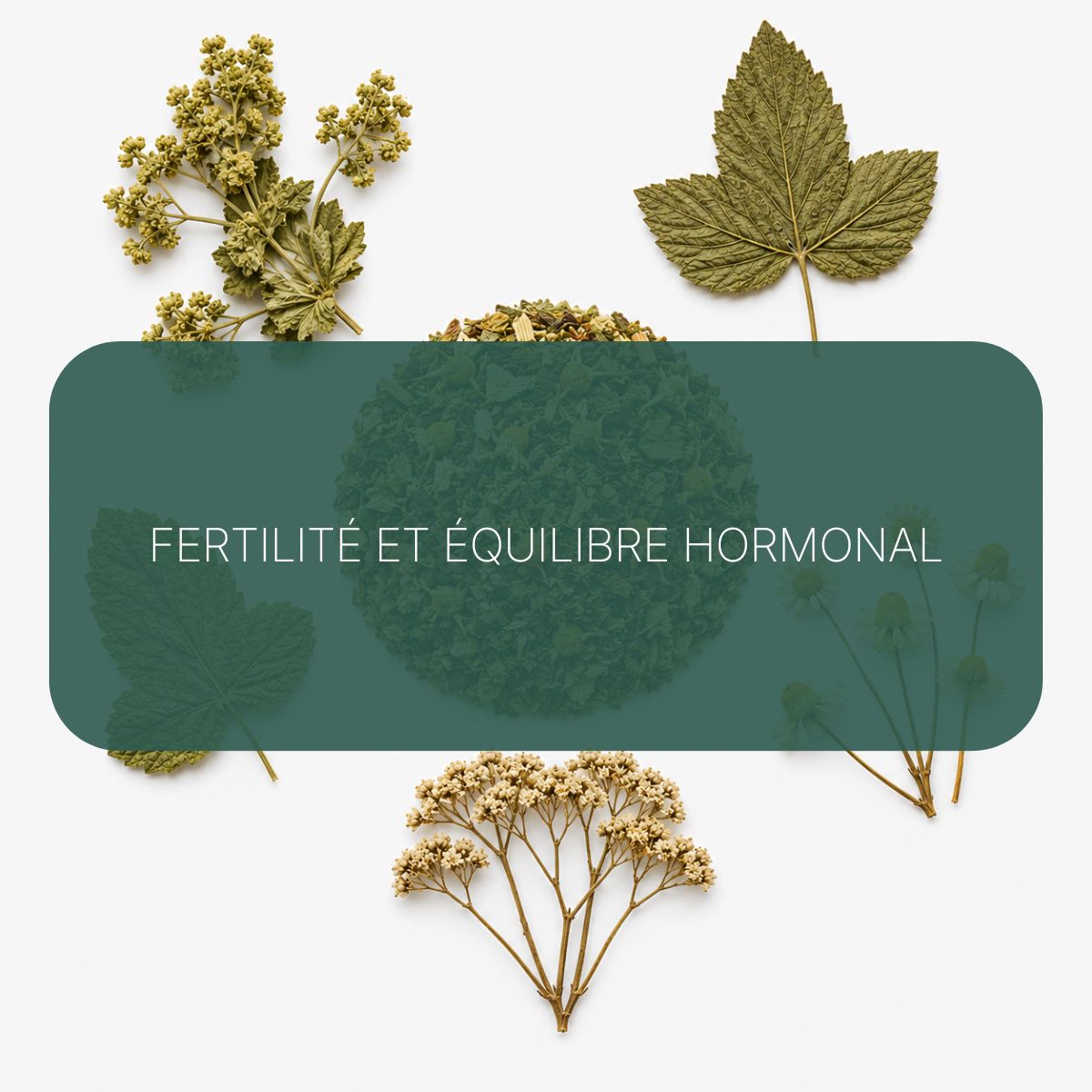 Recette Lady Performance BIO