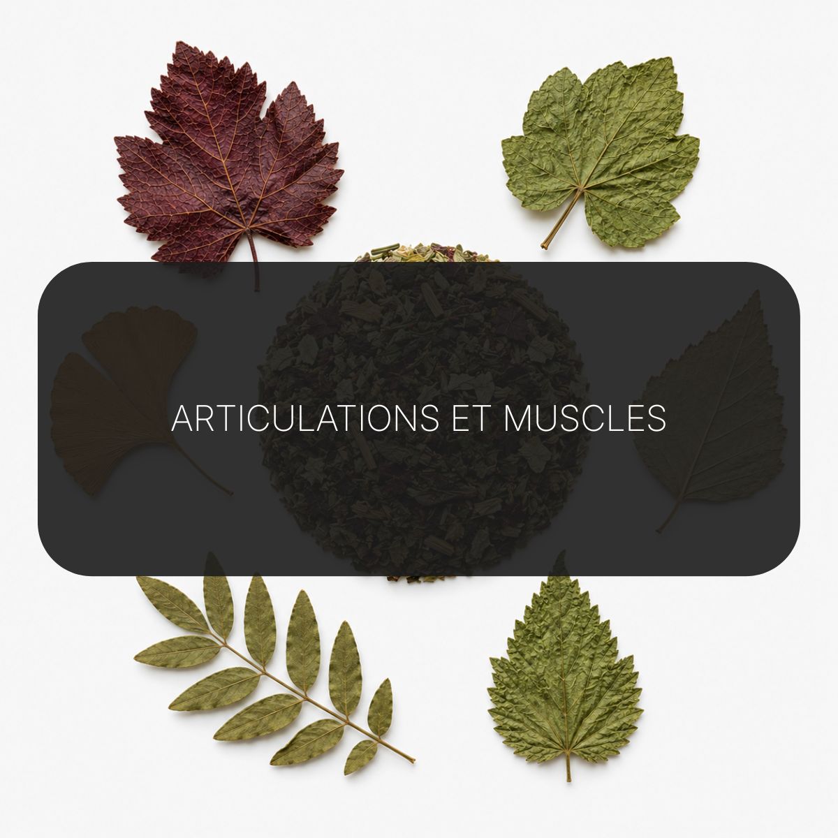 Texte alternatif de l'image