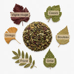 Recette Légèreté BIO