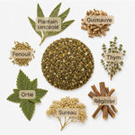 Recette Plein Poumon BIO