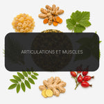 Recette Podium Flex BIO