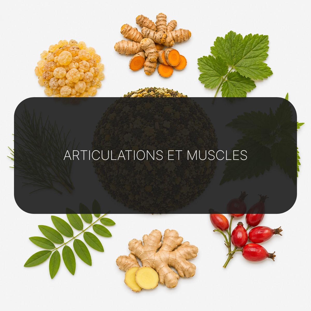 Recette Podium Flex BIO