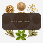Recette Pureté Intestinale BIO