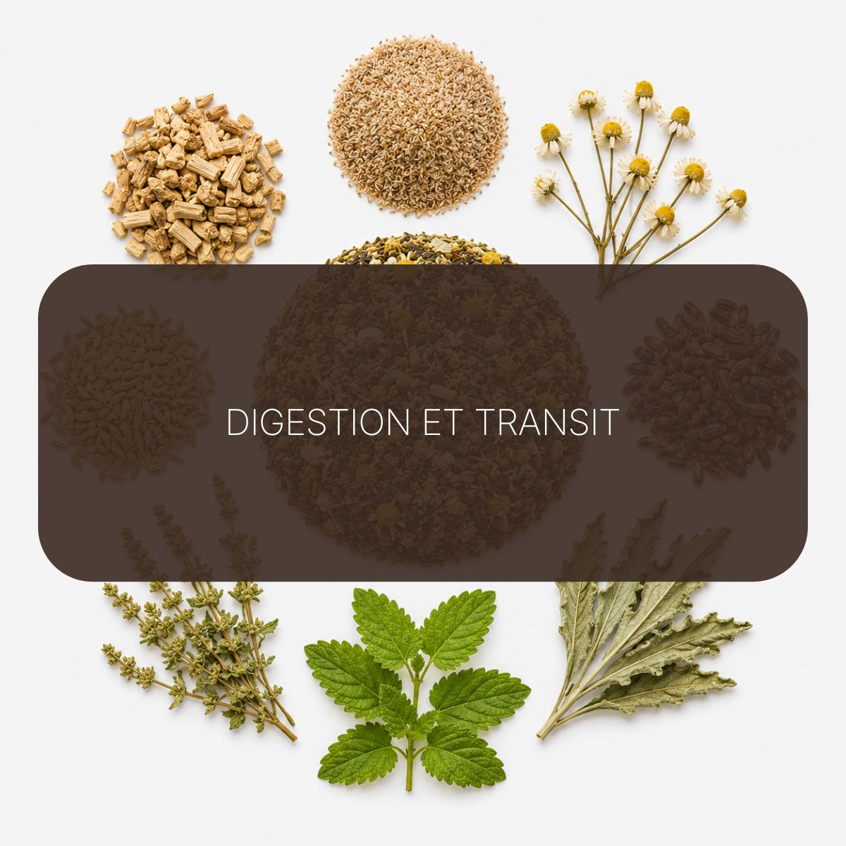 Recette Pureté Intestinale BIO