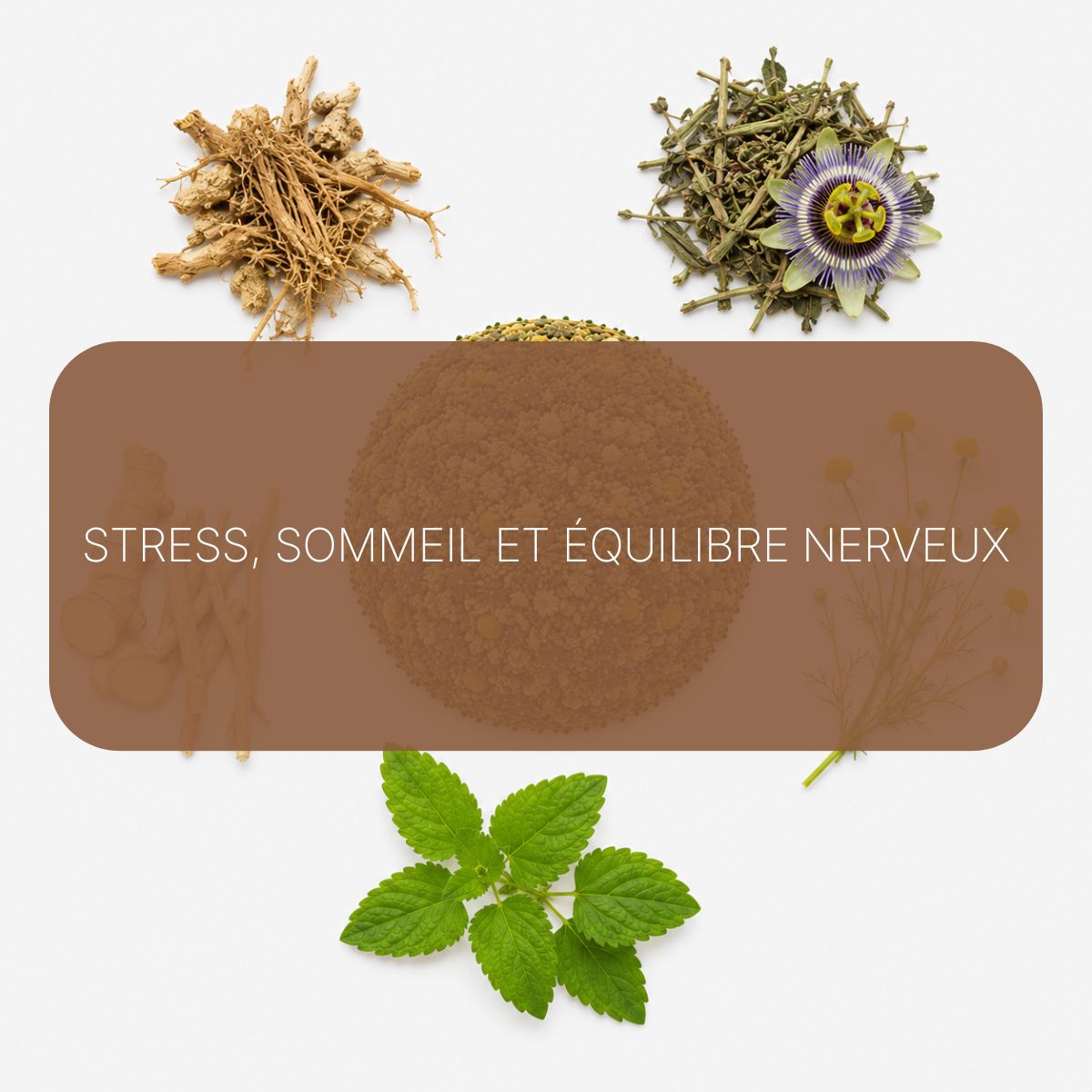 Recette Sérénité Absolue BIO