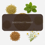 Recette Transit Zen BIO