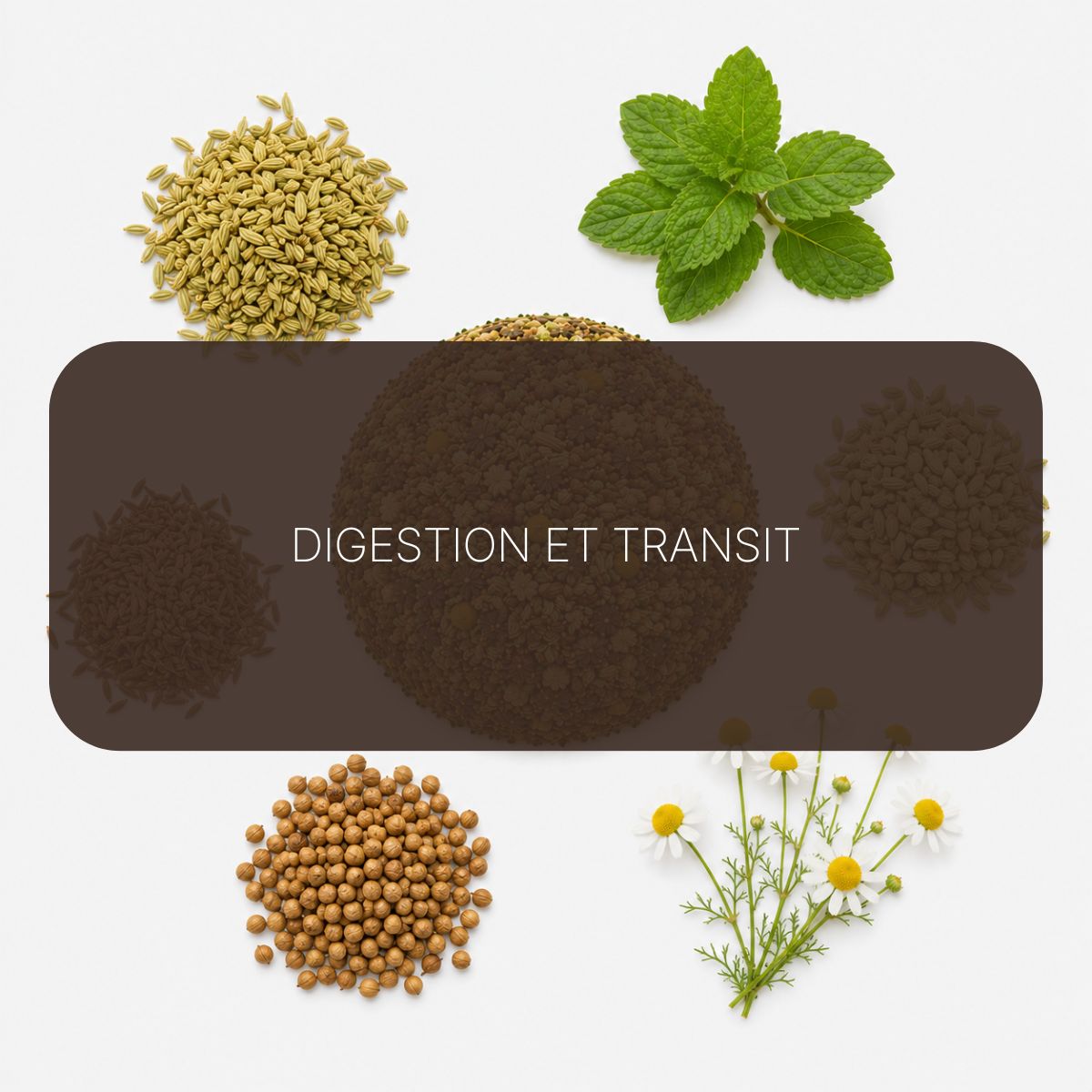 Recette Transit Zen BIO