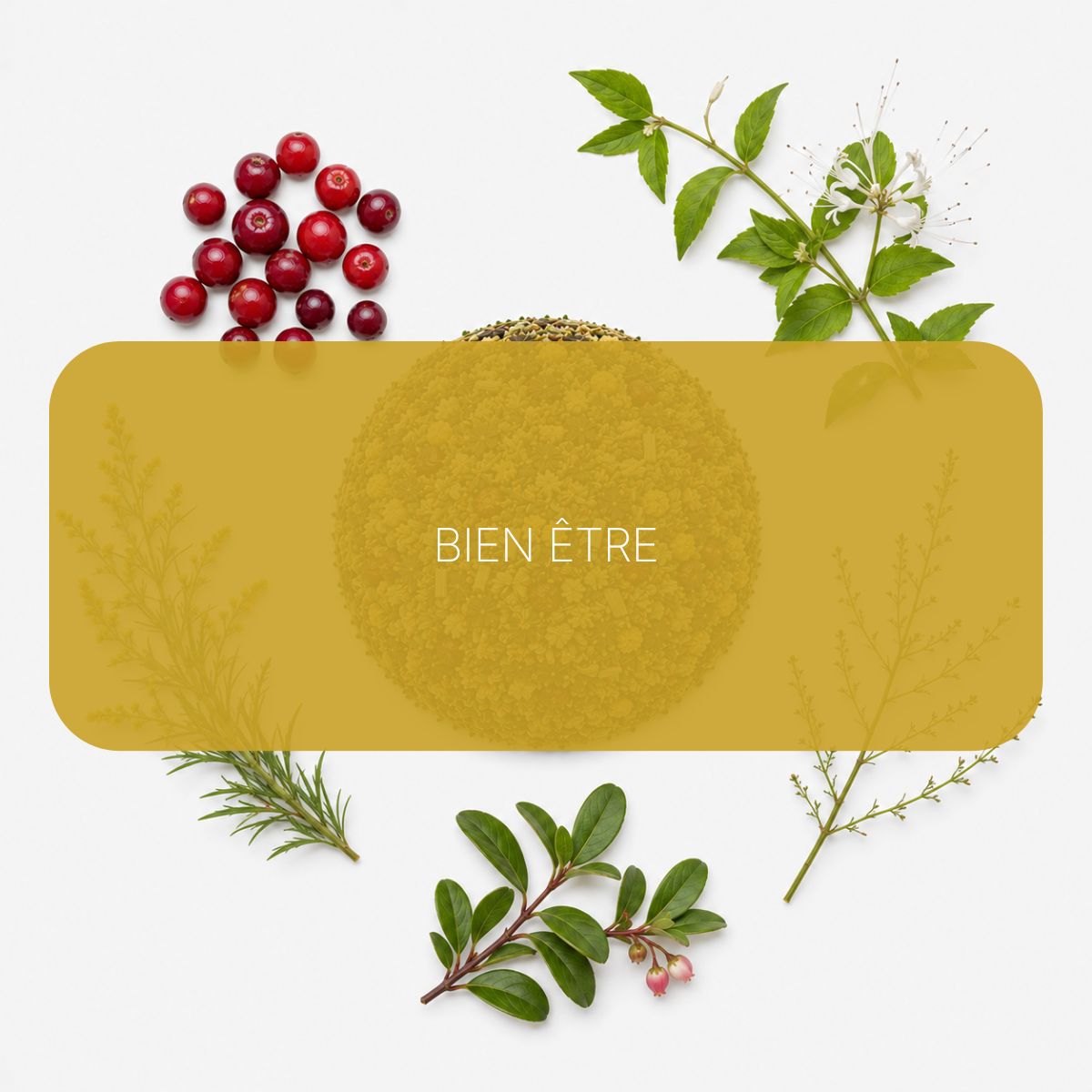 Recette Uro-Zen BIO