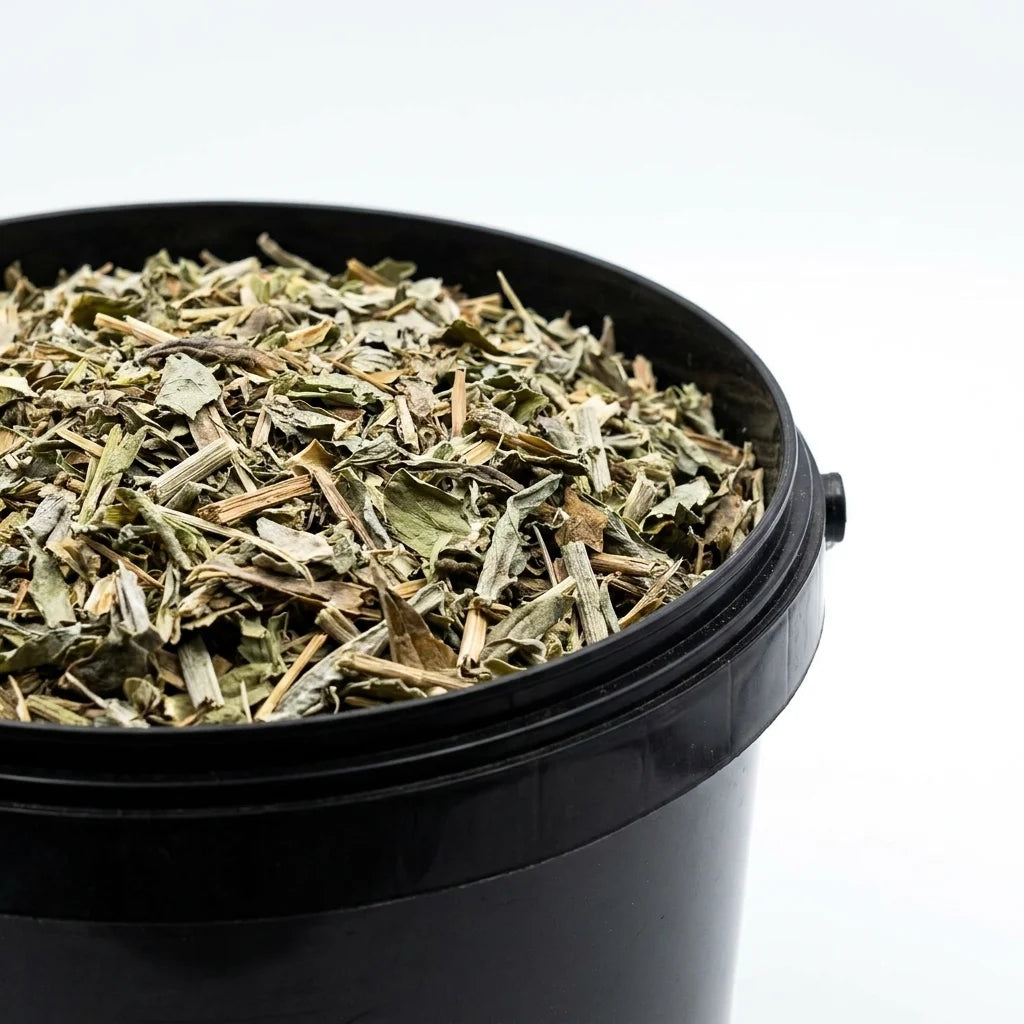 Artichaut Feuille Coupée BIO