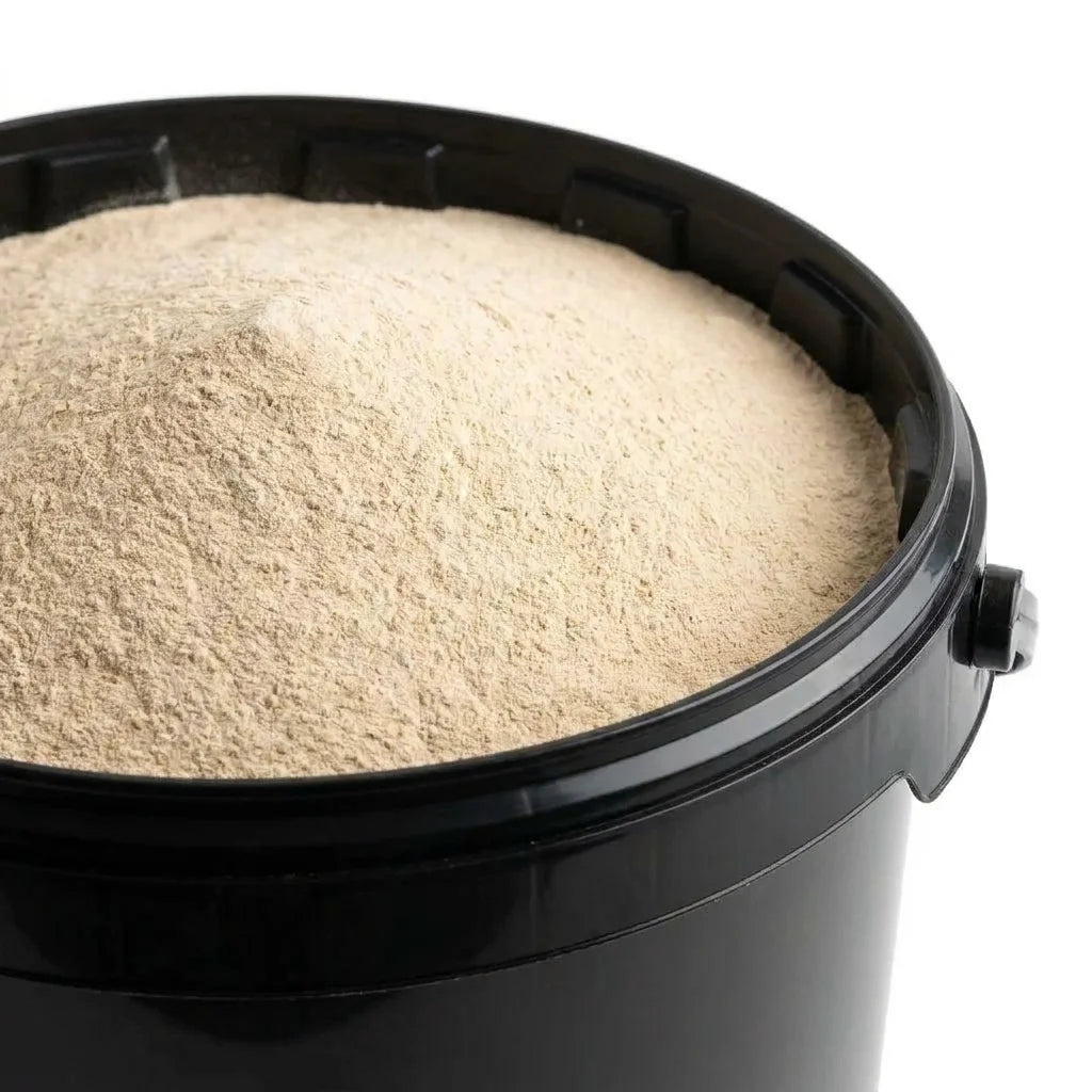 Ashwagandha Racine Poudre BIO