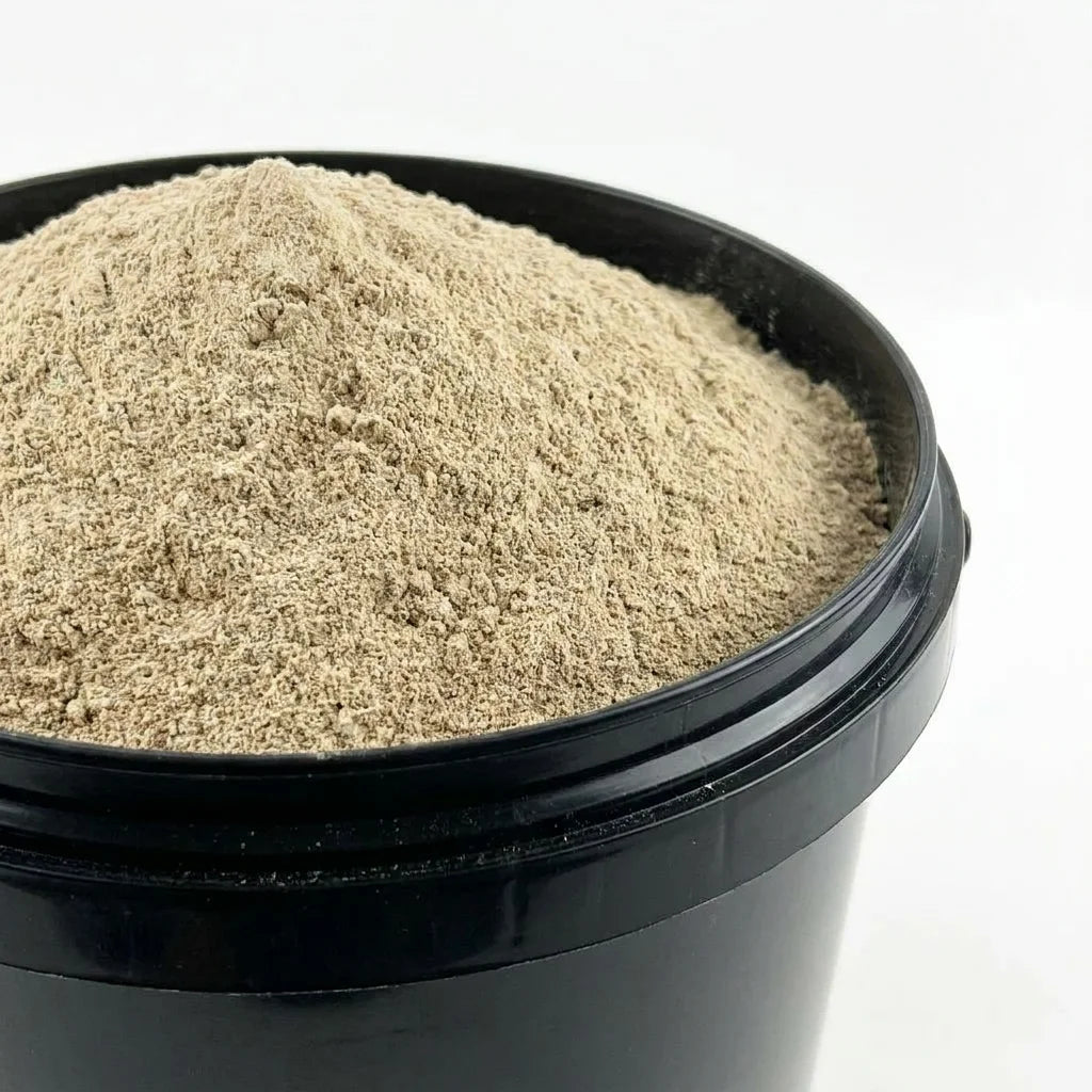 Bardane Racine Poudre BIO