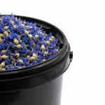 Bleuet Fleur BIO