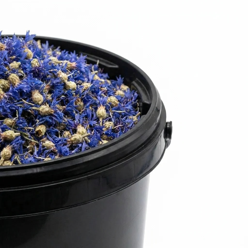 Bleuet Fleur BIO