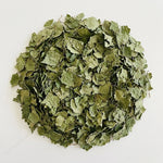 Bouleau Feuille Coupée BIO