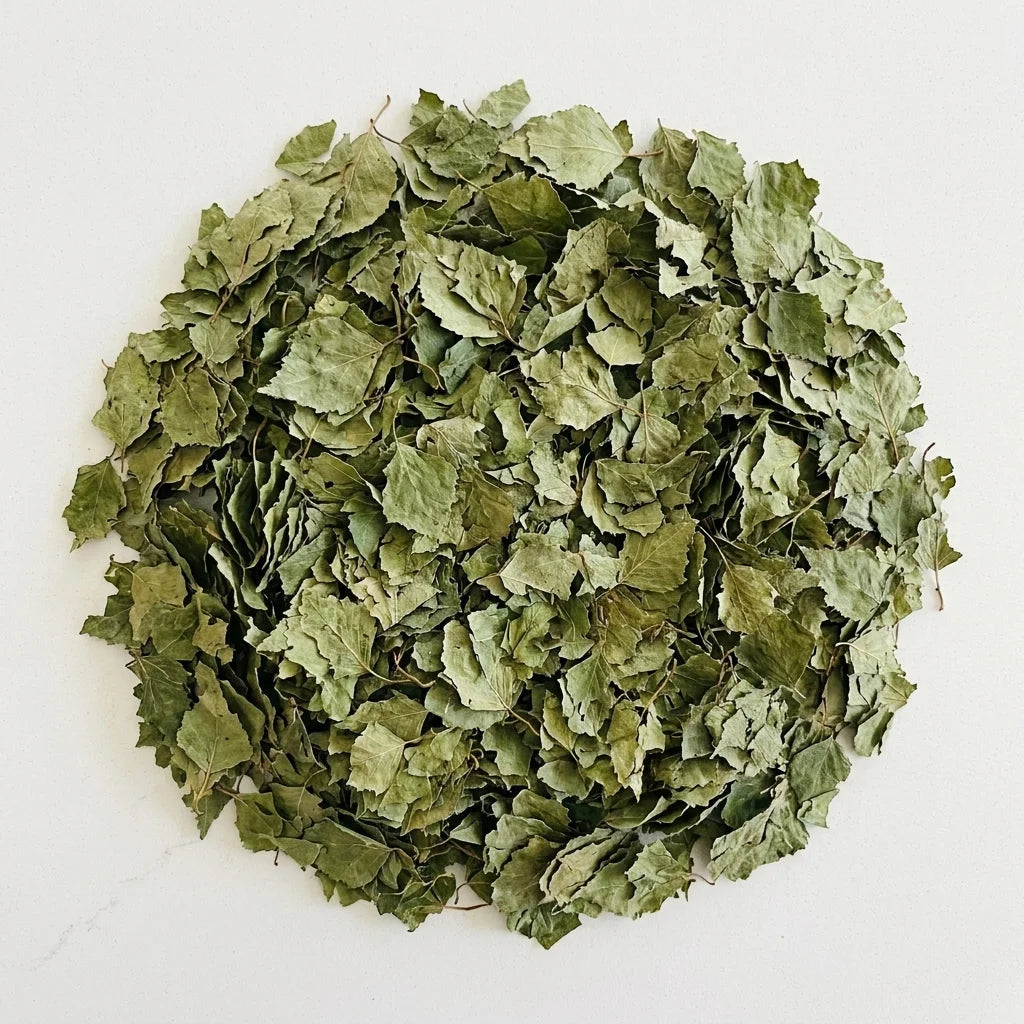 Bouleau Feuille Coupée BIO