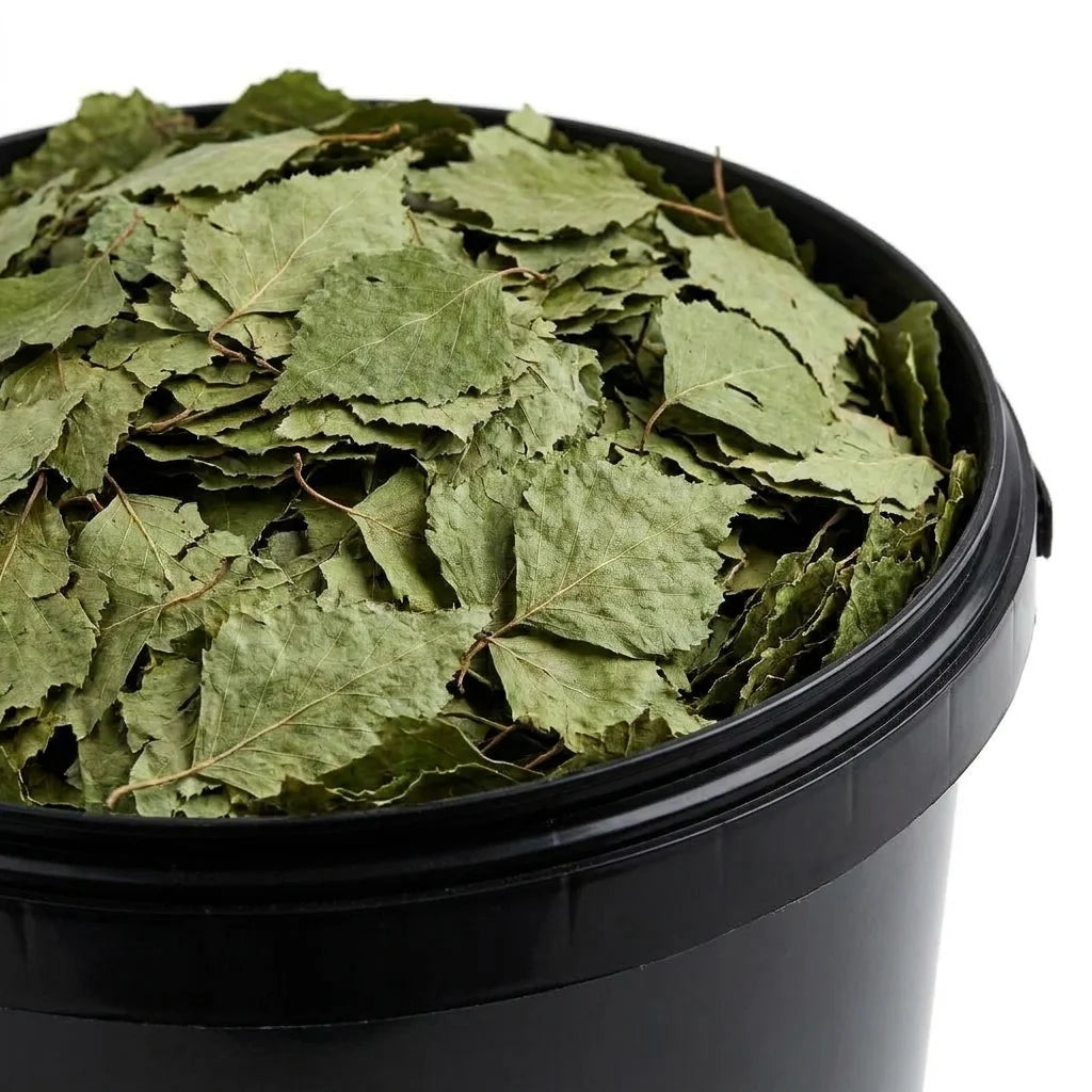 Bouleau Feuille Coupée BIO