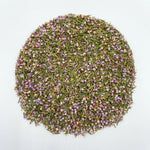 Bruyère Fleur/Feuille Coupée BIO