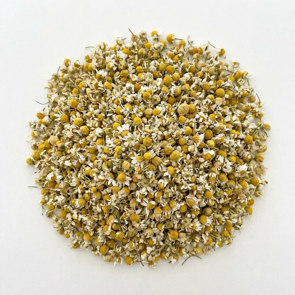 Camomille Romaine Capitule Floral Entier BIO