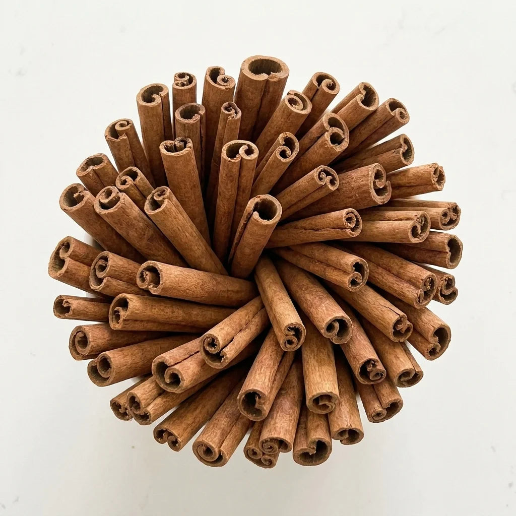Cannelle Cassia Tuyau BIO
