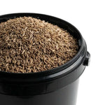 Cumin Graine Entière BIO