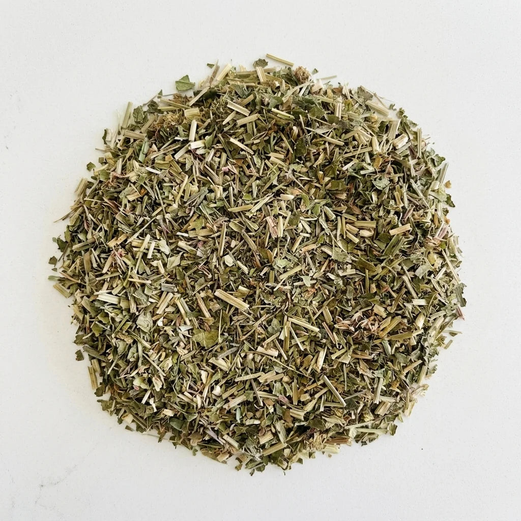 Echinacée Purpurea Partie Aérienne Poudre BIO