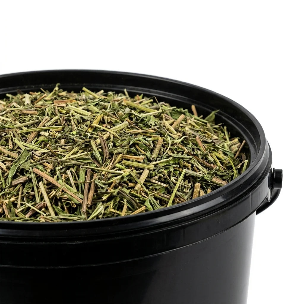 Echinacée Purpurea Partie Aérienne Poudre BIO