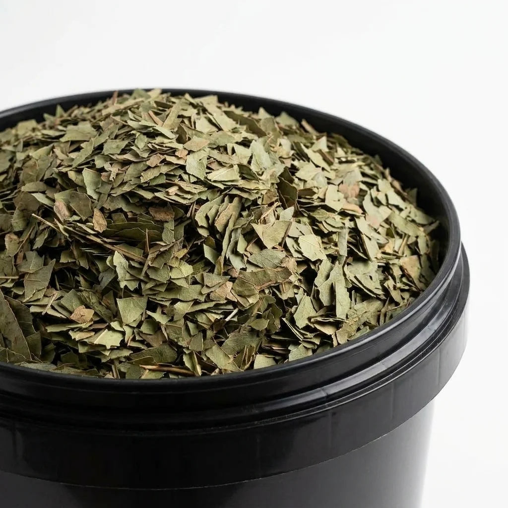 Eucalyptus Feuille Coupée BIO