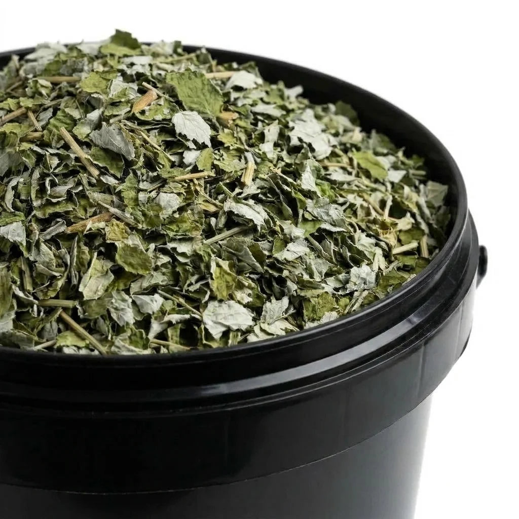 Framboisier Feuille Coupée BIO