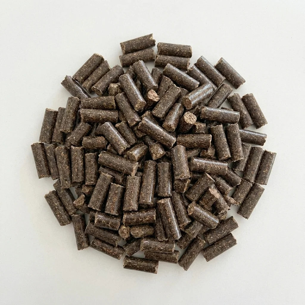 Friandise Briques Réglisse