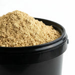 Gingembre Rhizome Poudre BIO