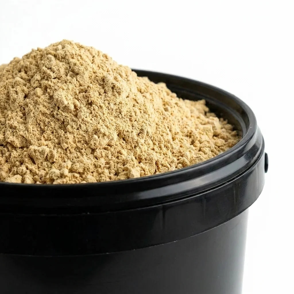 Gingembre Rhizome Poudre BIO