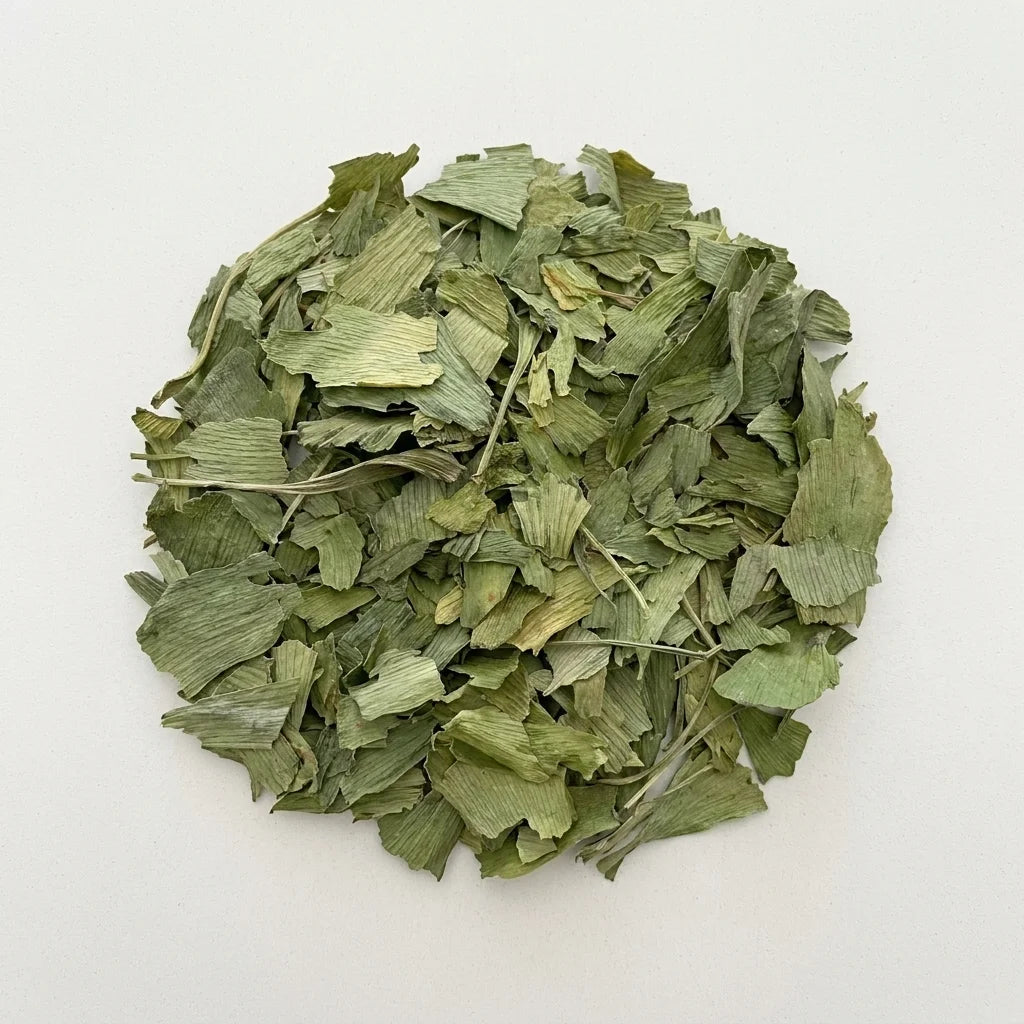 Ginkgo Feuille BIO