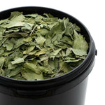 Ginkgo Feuille BIO