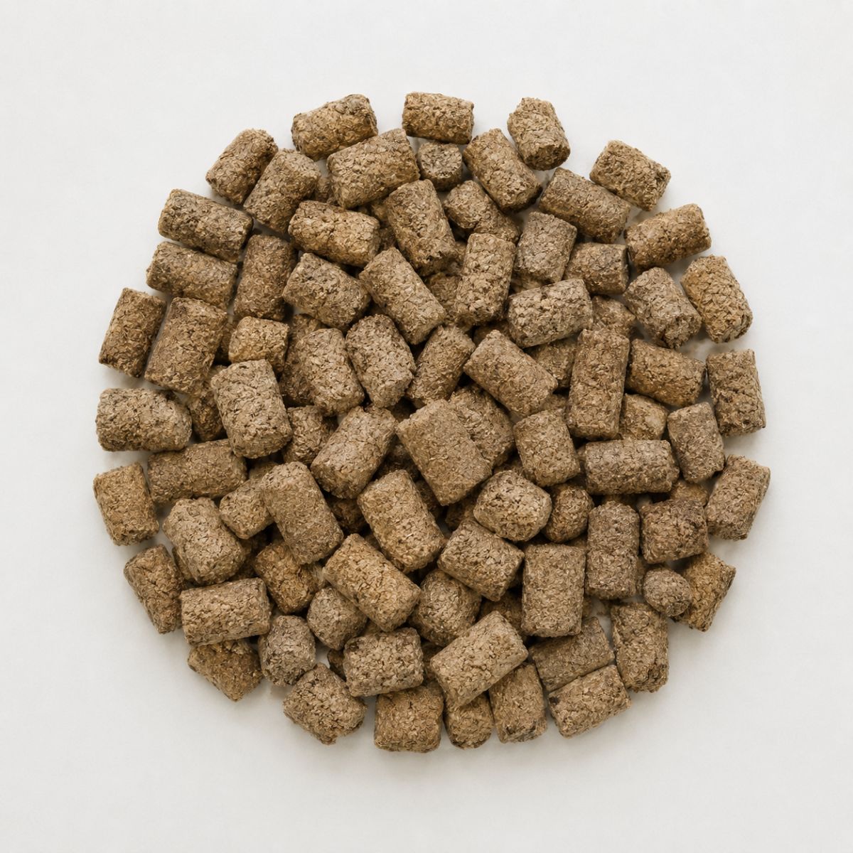 Friandise Crackers au Lin