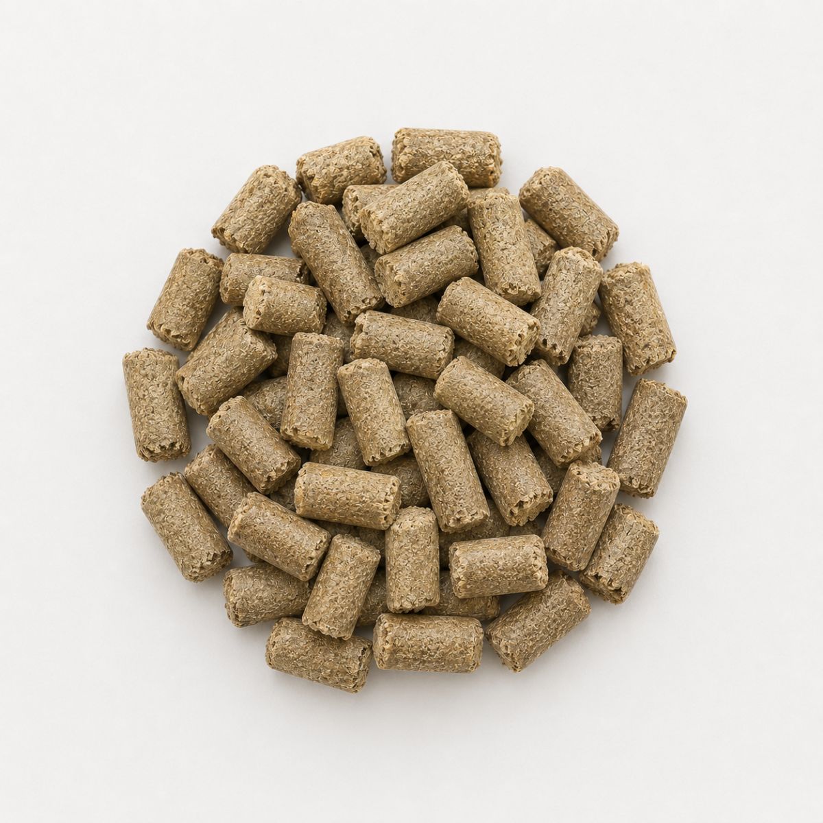 Friandise Briques Pomme sans Céréales