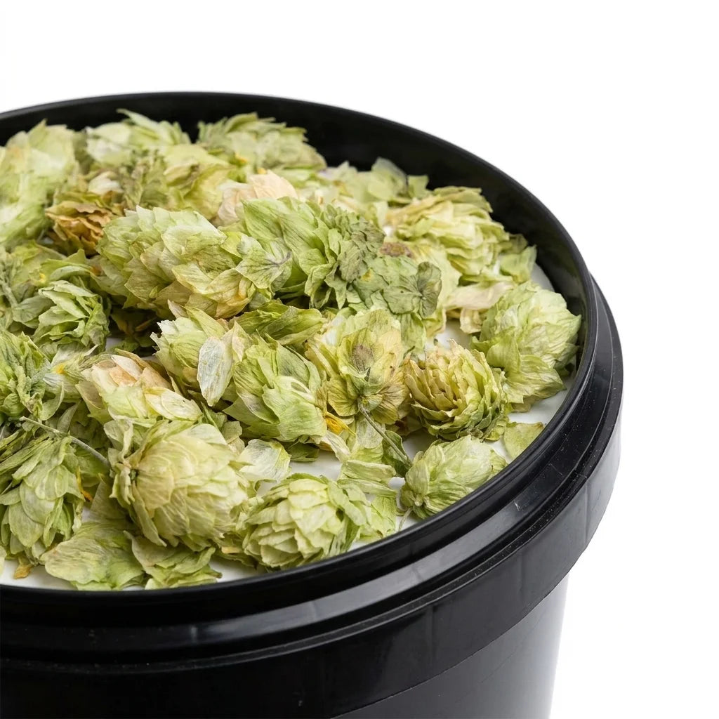 Houblon Cône Entier BIO