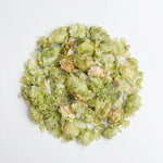 Houblon Cône Entier BIO