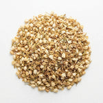 Jasmin Commun Fleur BIO