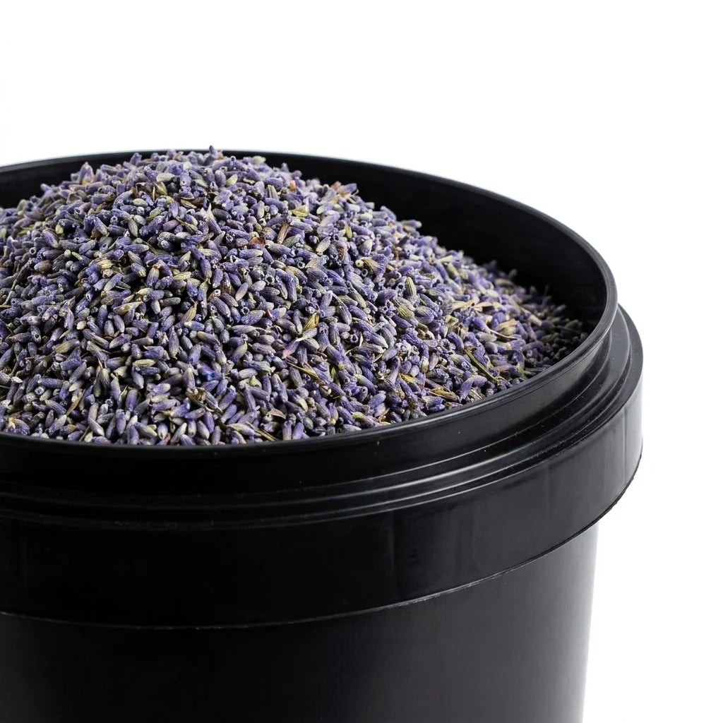 Lavande Fleur BIO
