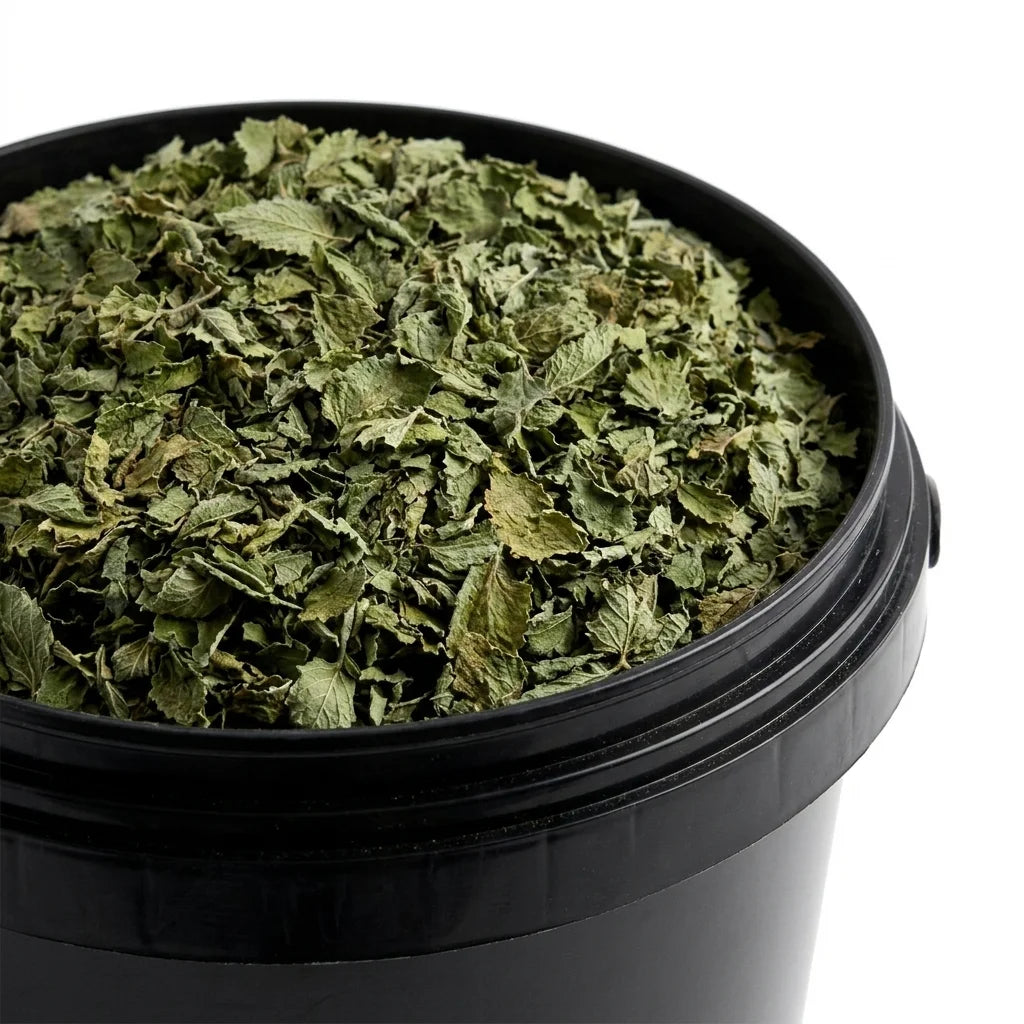 Mélisse Feuille Coupée BIO